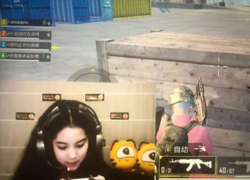 娱乐吃瓜欧阳娜娜视频,娱乐界新瓜来袭！