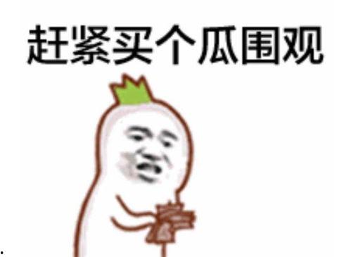 吃瓜的表情如何回复